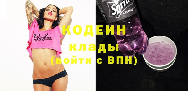 хмурый Абаза
