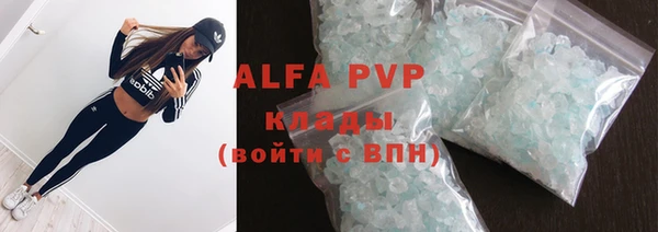 хмурый Абаза