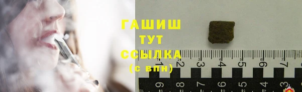 хмурый Абаза