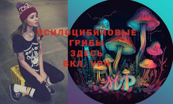 хмурый Абаза
