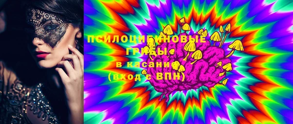 хмурый Абаза