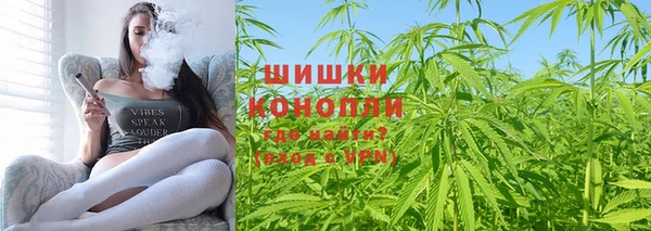 индика Абдулино