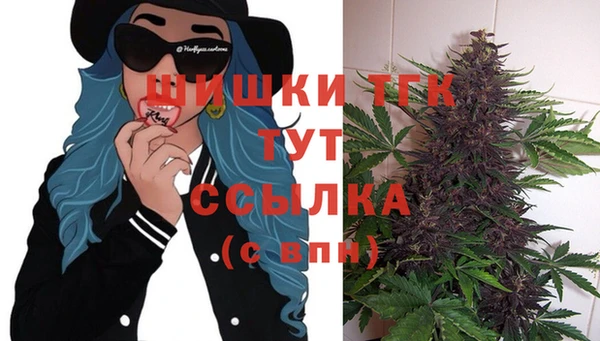 хмурый Абаза