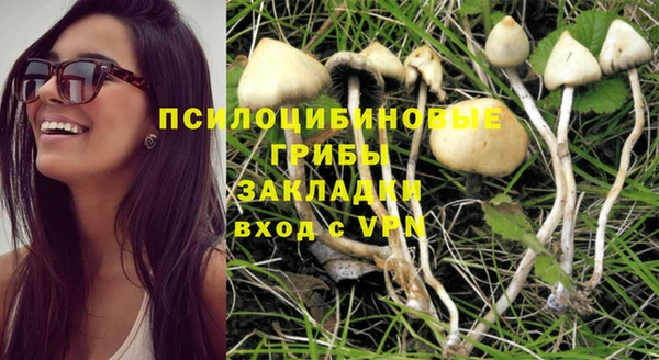 хмурый Абаза