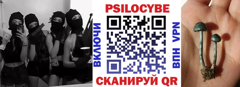 omg онион  наркотики  Новотитаровская  Галлюциногенные грибы MAGIC MUSHROOMS 